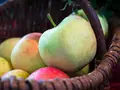 Krenn Martin Obst-Gemüse-Jungpflanzen in Gnas